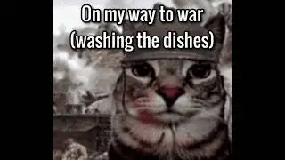 Washing Dishes is a War Crime | Songs No One Asked For