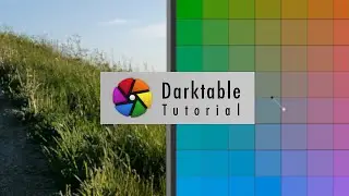 Быстрая цветокоррекция | Урок по Darktable для начинающих