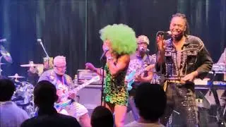 GEORGE CLINTON PARLIAMENT FUNKADELIC TOKYO 2025 FULL SHOW
