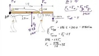 Will and Cliff carrying a board in static equilibrium  Find the forces of Will and Cliff