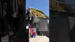 Harvest 2018 Begins at JOLO Winery & Vineyards