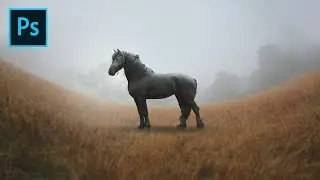 Basic Photoshop Photo Manipulation Tutorial