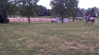 Maddie xc 2