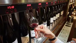 Delight your palate in New Zealand with 2019 Travelers’ Choice-winning Wine Experience