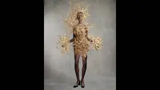 Schiaparelli Project-Picture Particle