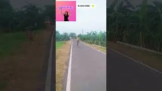 KTM Cycle Valley SUBSCRIBE 🙏#funny #stunt #comedyfilms #automobile #viralvideo