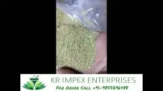 Ajmod | Apium Graveolens | Celery Seeds | Relieve Gouty Arthritis | Rheumatoid | Osteoarthritis