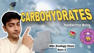 Carbohydrates | BSc Zoology 2nd Sem Notes 📚 | Biomolecules Unit 1 | DU Study Material Bsc Zoology🎓