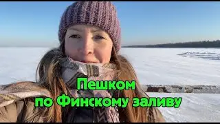 Зимняя прогулка по Нижнему парку в Петергофе
