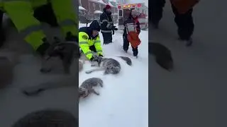 Caught on Camera: Incredible Rescue During Heavy Snowfall #Rescue #RealRescue #RescueTeam #Emergency