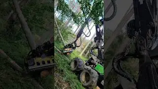 The Harvester 1170e Process Trees #johndeere #love #machine #viral #tree #wood #harvester