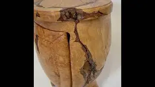 Pierre Decorse Organic Sculptural Burr Olive Wood Cabinet Eclecticism 2003