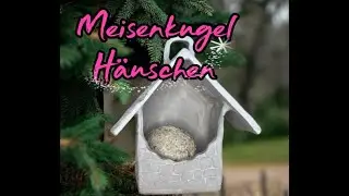 Haus 1 Meisen Kugel Haus Tutorial