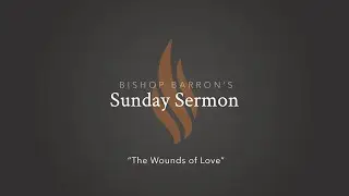 The Wounds of Love &mdash; Bishop Barron&rsquo;s Sunday Sermon