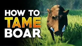 Valheim How To Tame Boar and Farm Them (Valheim Tips)