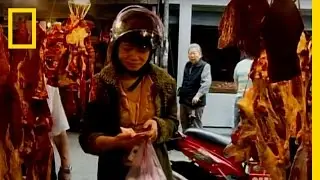 Bull Parts | Rare Foods