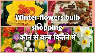 Winter flower bulb shopping hual/Online shopping of winter flower bulb कहाँ से और कितने मे लिए बल्ब