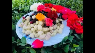 🍇 Taste the Variety of Berries: Black, Red, & Mulberry! 🌿 طعم&zwnj;های متفاوت توت&zwnj;ها را تجربه کنید! 😋