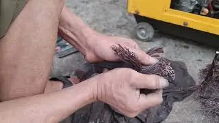 Riêng máy phát đo băgf đồng hồ nhìn bằng mát không chuẩn bệnh dc-ktddt 0982871662