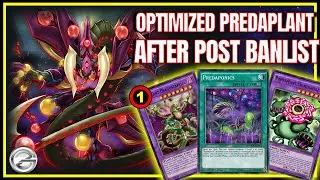Is This the MOST BROKEN Predaplant Deck Yet Post-Banlist Update | Duel Links