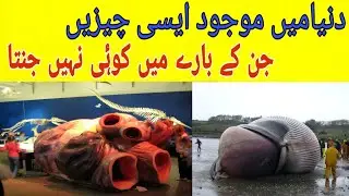 top 4 unseen things in the world[informative tv]