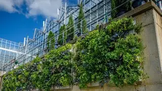 Phipps Conservatory Production Greenhouse Living Walls - Featured Project Replay
