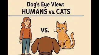 Dog's Eye View: Humans vs. Cats!