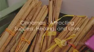 magical herbs and spices unveiling the secrets