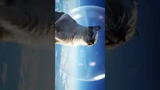Flying Cat in a Balloon POPS in the Sky! 🌌✨
