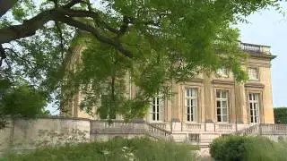 Jardins d'Ile de France : Alain Baraton et les arbres de Versailles