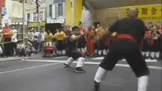 Kung Fu Hung Gar Self Defense Form