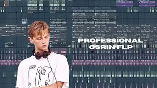 PROFESSIONAL OSRIN FLP