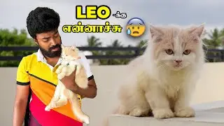 LEO’S NOT WELL 🐈🤧SERIOUS ISSUE 🚨 Went To Hospital 😓 #ramkannan