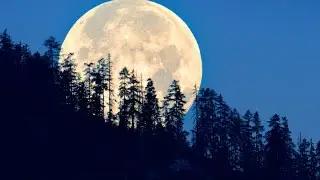 August Super Full Moon, Blue Moon
