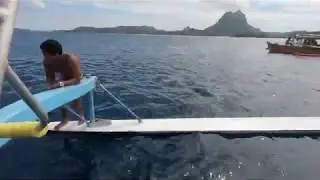 Bora Bora   Swimming with the Reef Sharks
