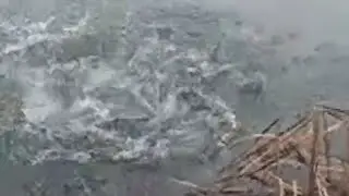 ¡TIRO,CAZA Y PESCA. está emitiendo en directo!