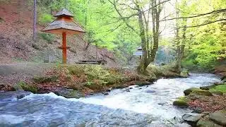 April 14, 2023 Background Music for Videos - Meditation Beauty OF Nature No Copyright, Free Download