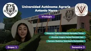 Microscopia Fuerza Anat&oacute;mica e Inmunoelectron&iacute;ca/ Enumeraci&oacute;n Directa e Indirecta De Virus.
