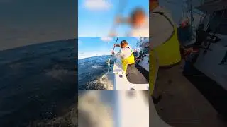 Wahoo Fishing Book Today Offshore Yacht #fishing #shorts #adventure #wahoo #fishingshorts #boat