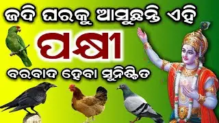 ଘରକୁ ଆସିଲେ ଏହି ସବୁ ପକ୍ଷୀ - ସାବଧାନ ହୋଇଯାଆନ୍ତୁ | Odia Vastu tips 2021 | Sakuna sastra odia Anuchinta