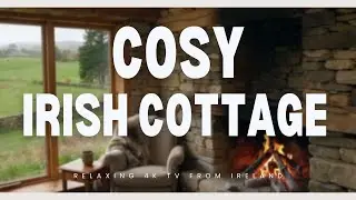 Cosy Cottage in the Irish Country - Calm Countryside Ambience