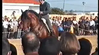 1998 Reitturnier in Ayamonte