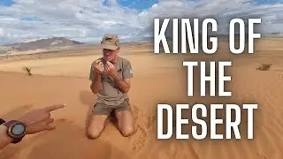 Bushman's Desert Camp & nature guide is an extraordinary experience up close & personal with nature
