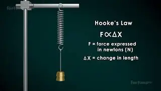 Physics - Grade 8 & 9 IG - Week 11 -  Hooke's Law