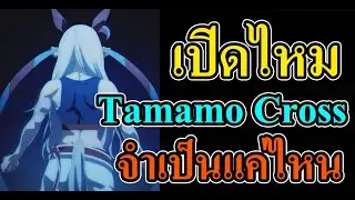 Uma Musume: Pretty Derby  - เปิดไหม Tamamo Cross จำเป็นแค่ไหน