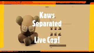 Kaws Separated | Live Cop!