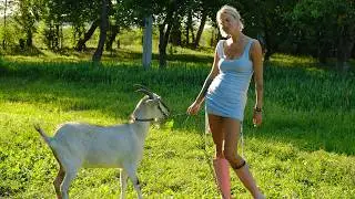 Summer Chores and Silent Joys | Life of a Young Woman in the Countryside