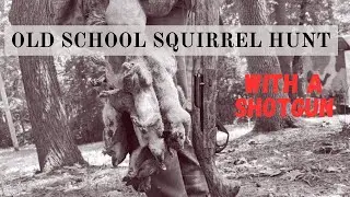 OLD SCHOOL SHOTGUN SQUIRREL HUNTING
