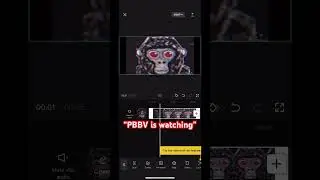 Pbbv sound reversed
