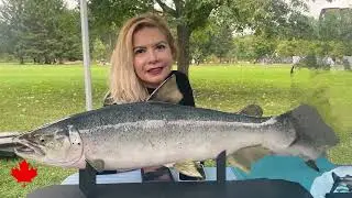 Ontario Salmon Run 2025